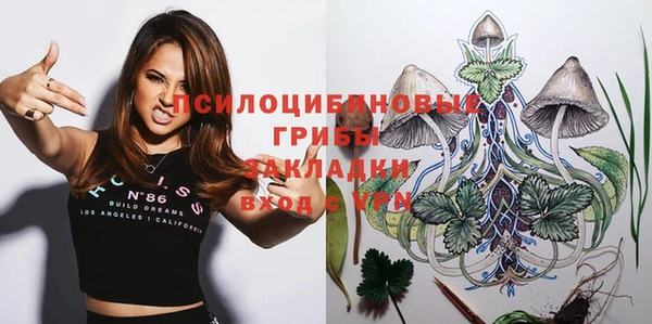 дурь Белоозёрский