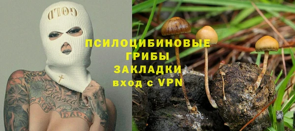 спайс Белокуриха