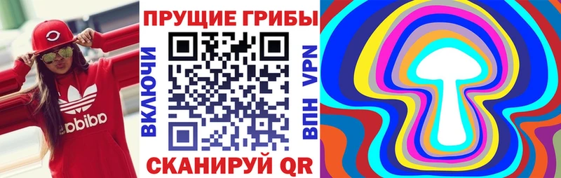 гидра   Горячий Ключ  Галлюциногенные грибы ЛСД 